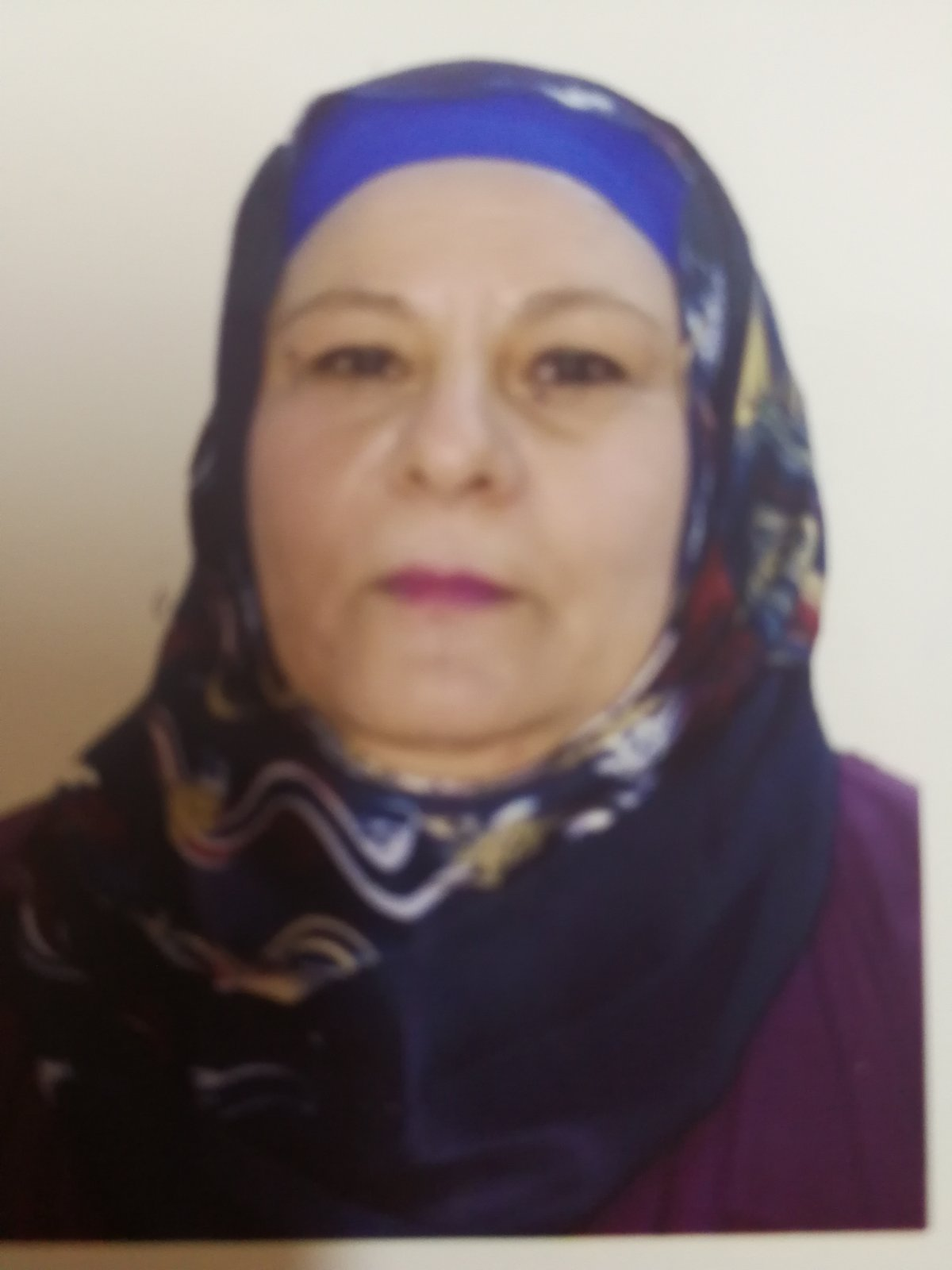أستاذة التغذية والاقتصاد المنزلي بكلية التربية للبنات/جامعة بغداد
